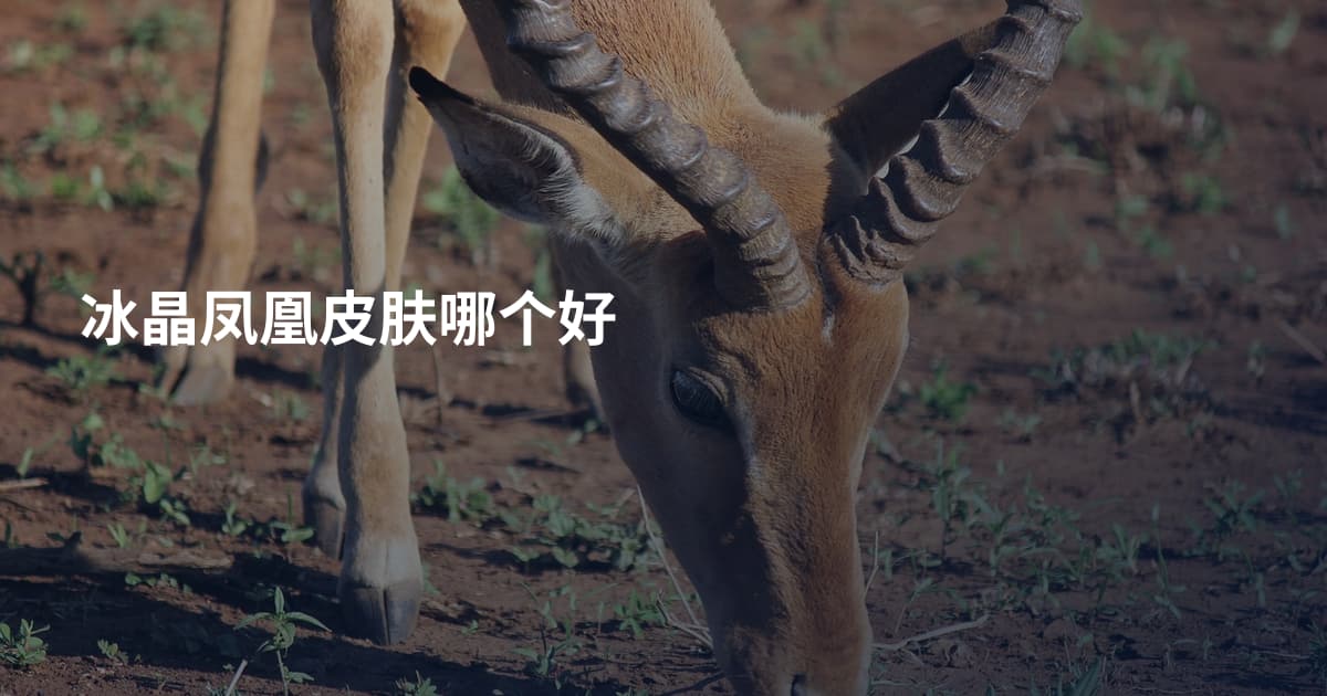 冰晶凤凰皮肤哪个好