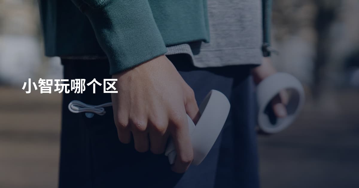 小智玩哪个区