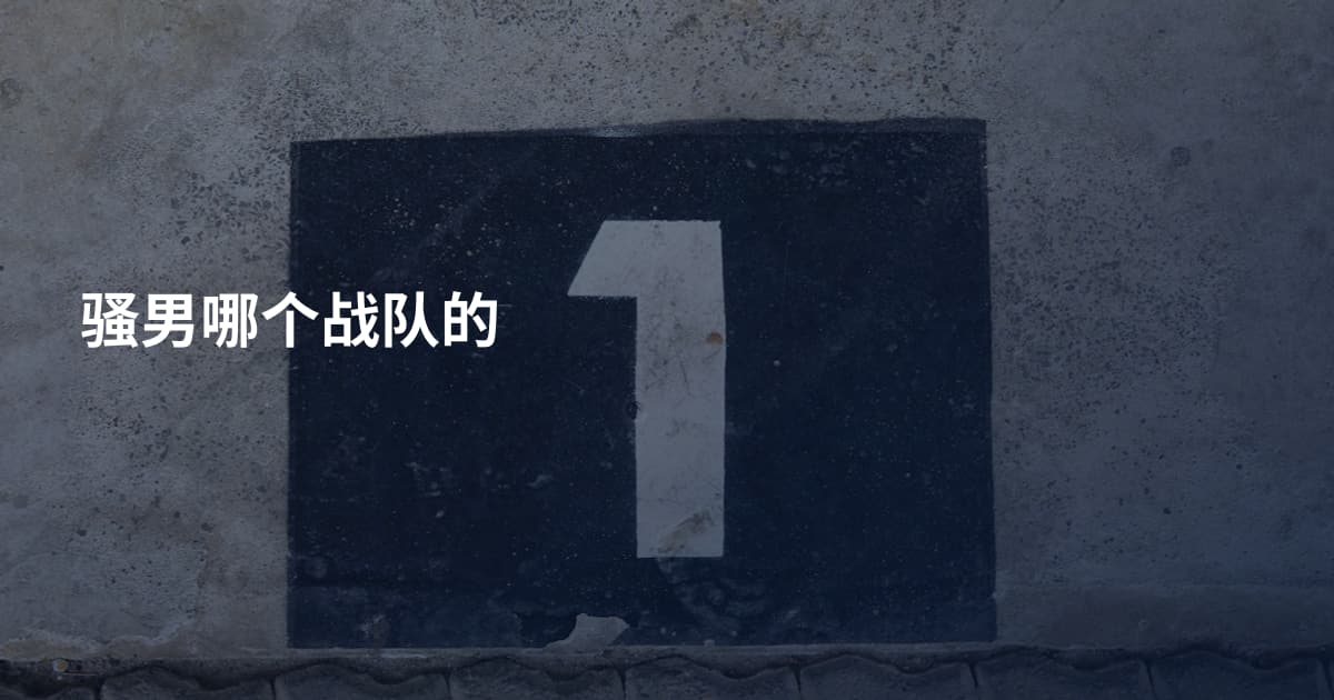 骚男哪个战队的