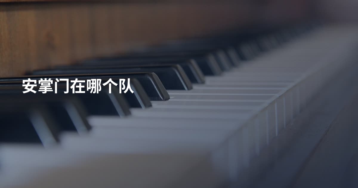 安掌门在哪个队