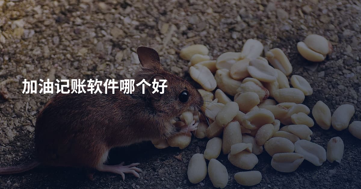 加油记账软件哪个好