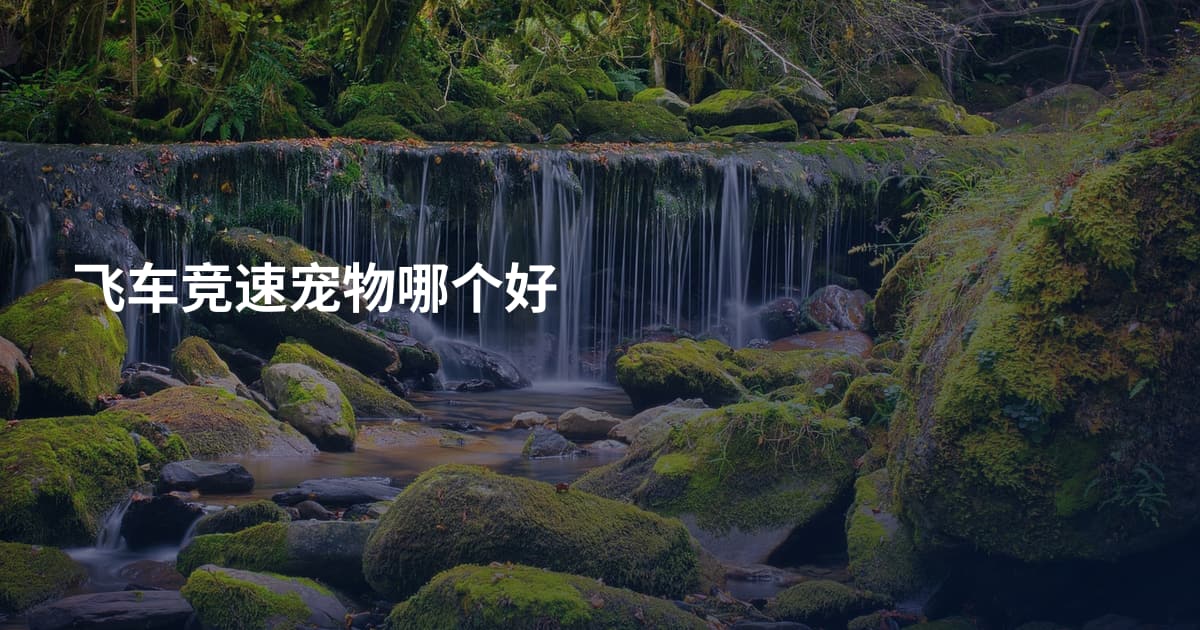 飞车竞速宠物哪个好