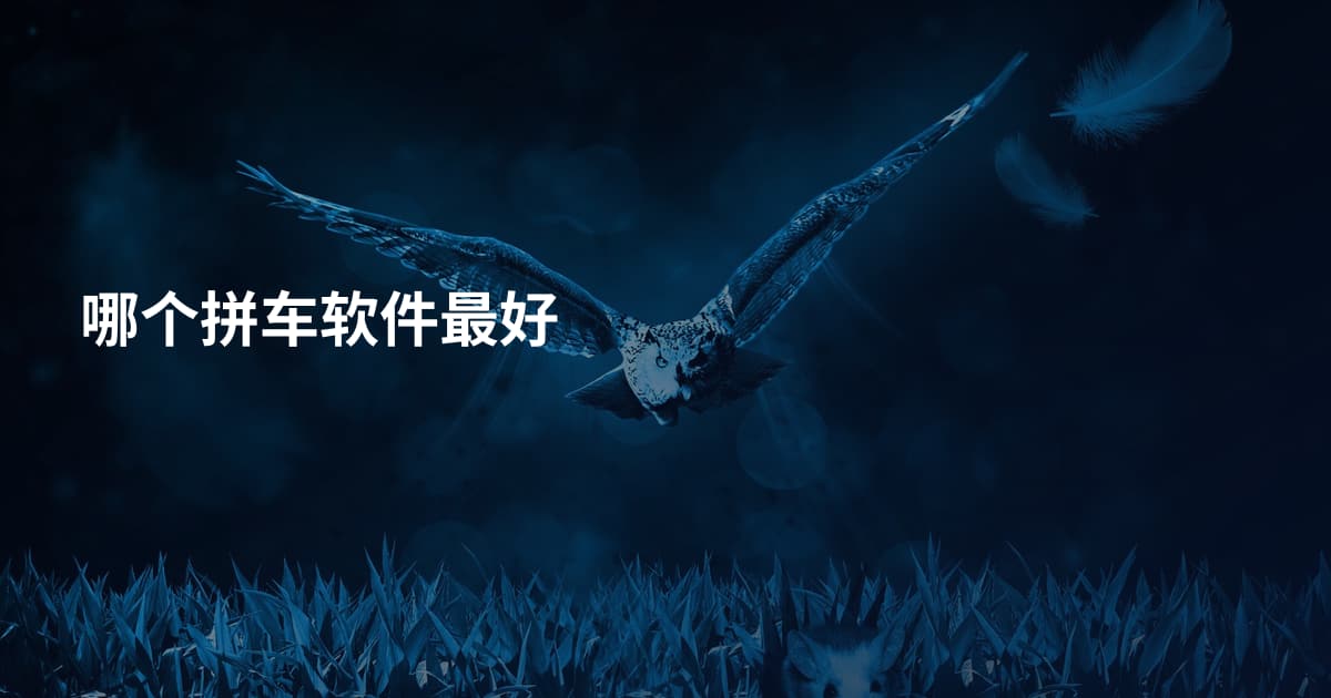 哪个拼车软件最好