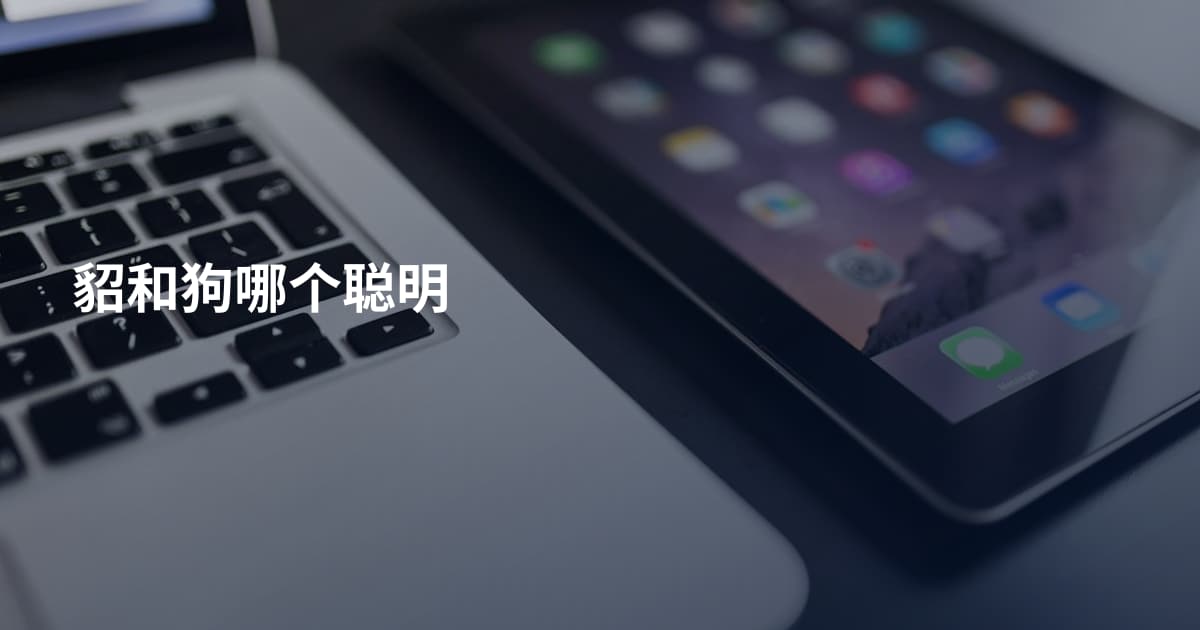 貂和狗哪个聪明