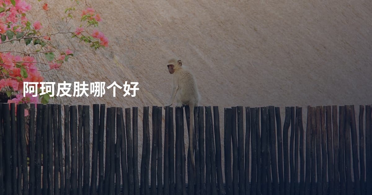 阿珂皮肤哪个好