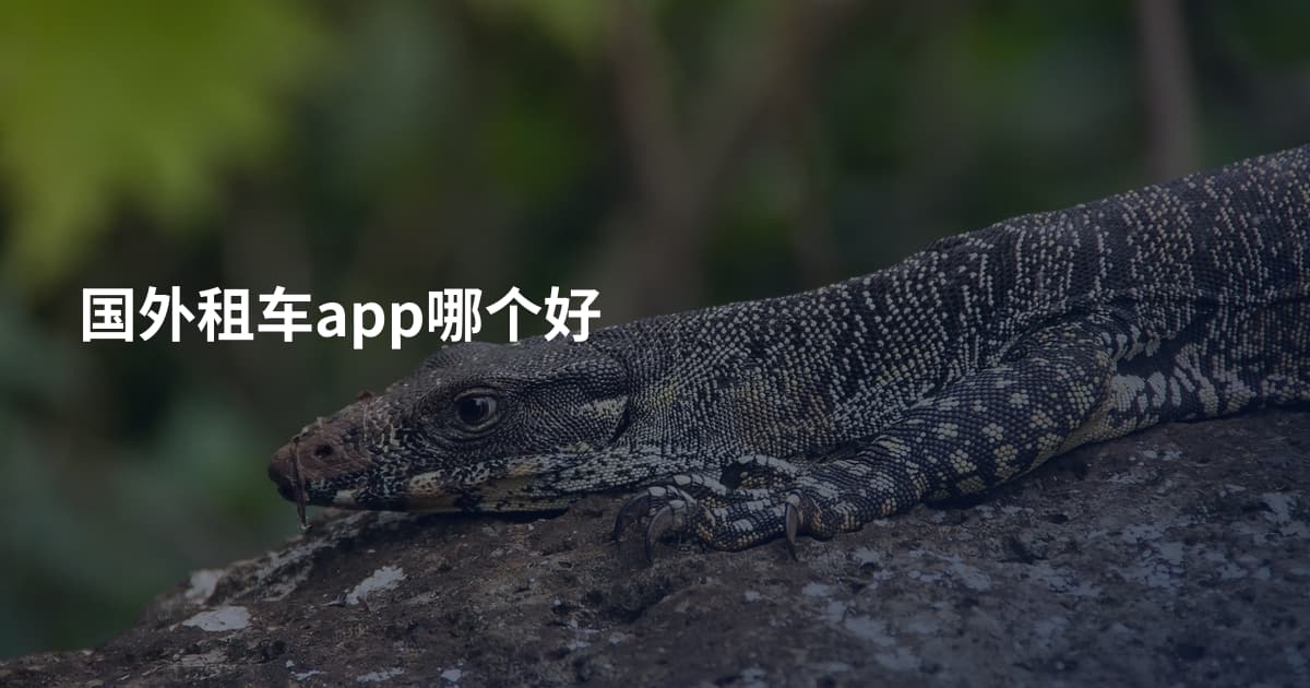国外租车app哪个好