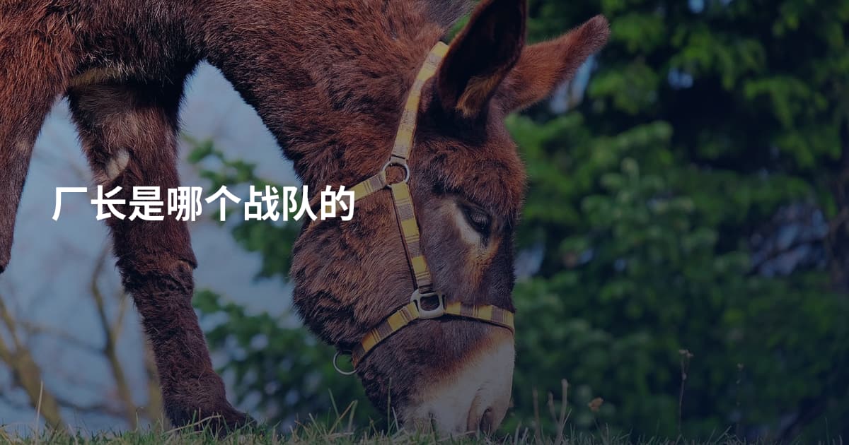厂长是哪个战队的