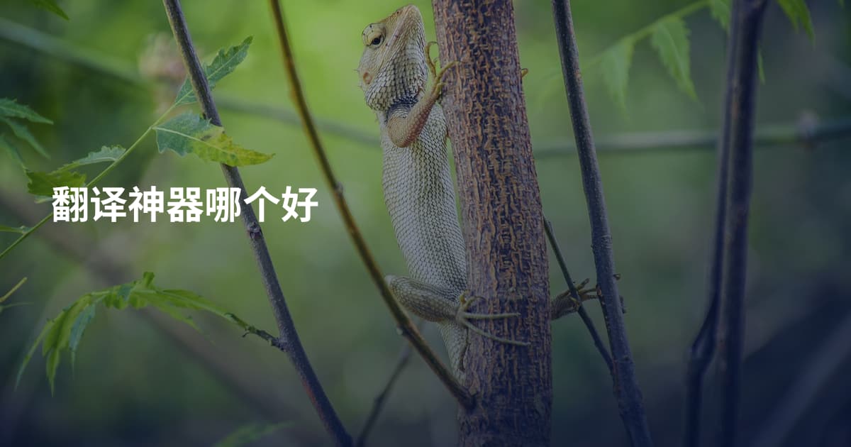 翻译神器哪个好