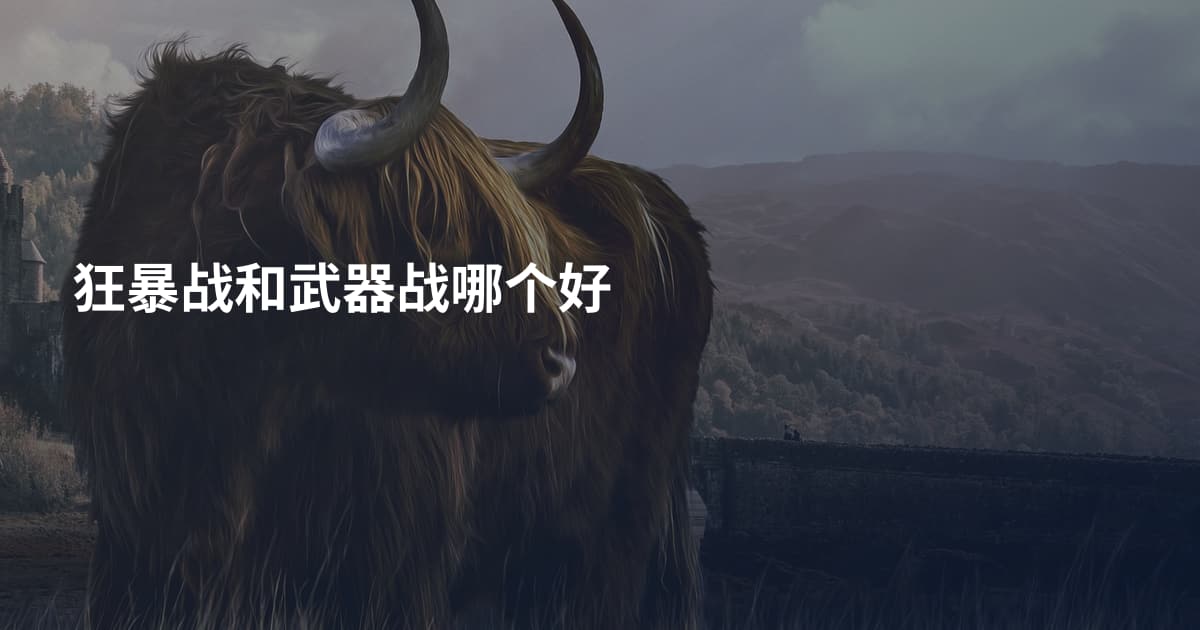 狂暴战和武器战哪个好