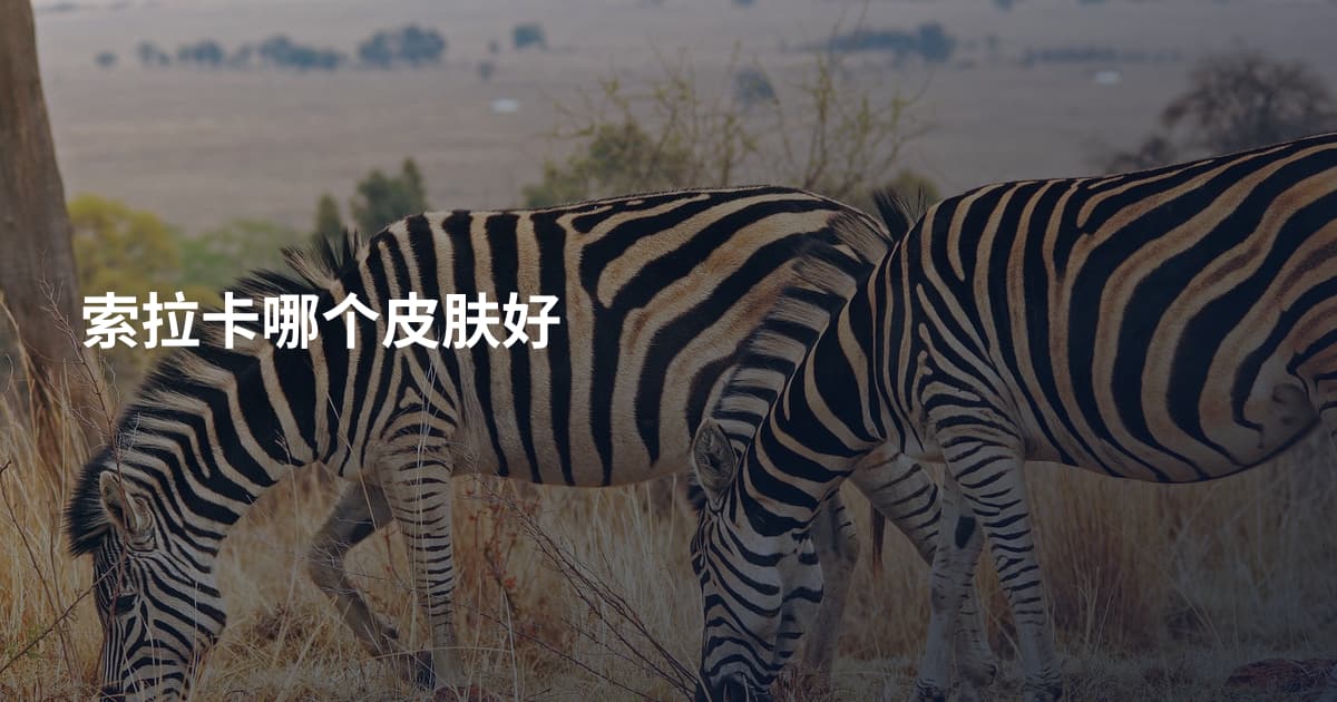 索拉卡哪个皮肤好