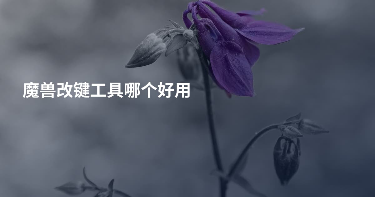 魔兽改键工具哪个好用