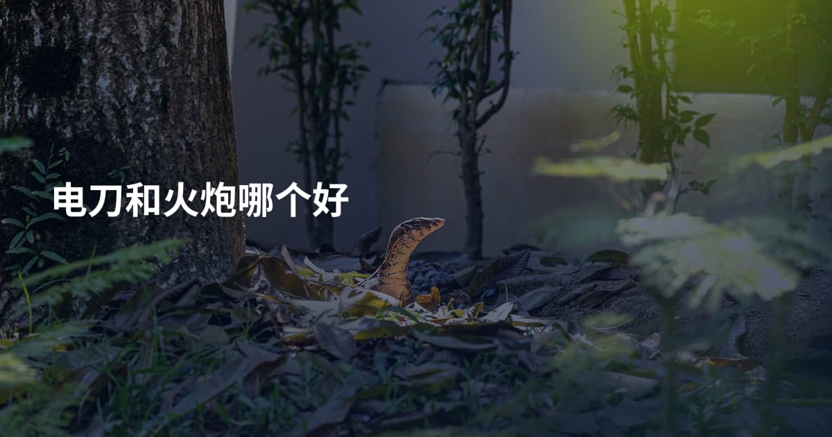 电刀和火炮哪个好