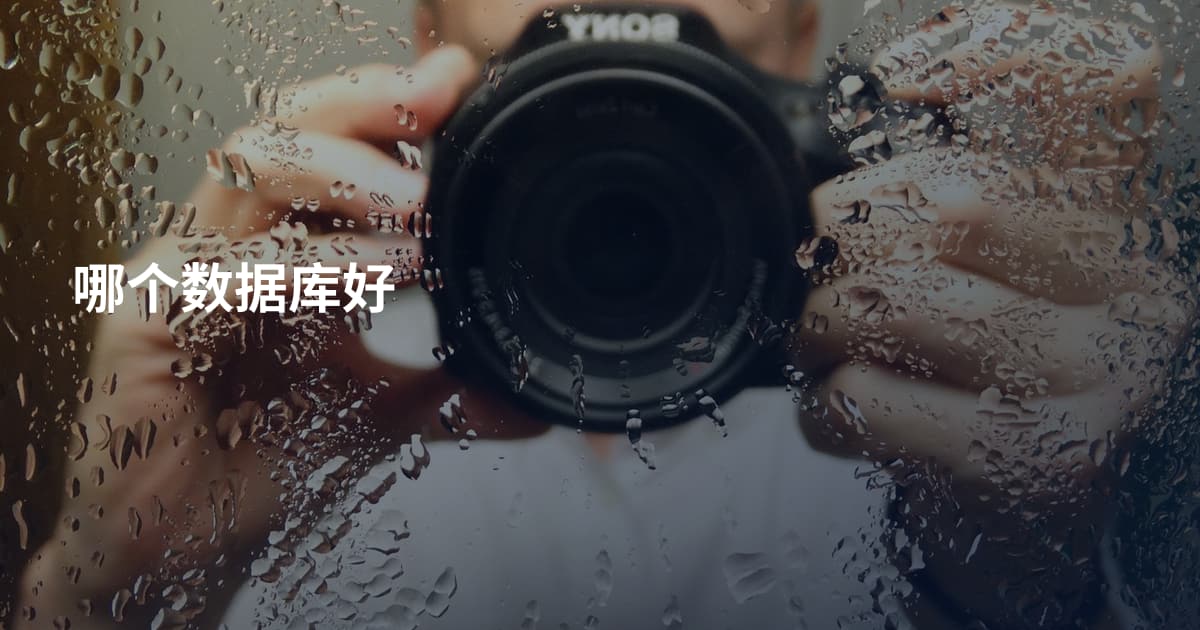 哪个数据库好