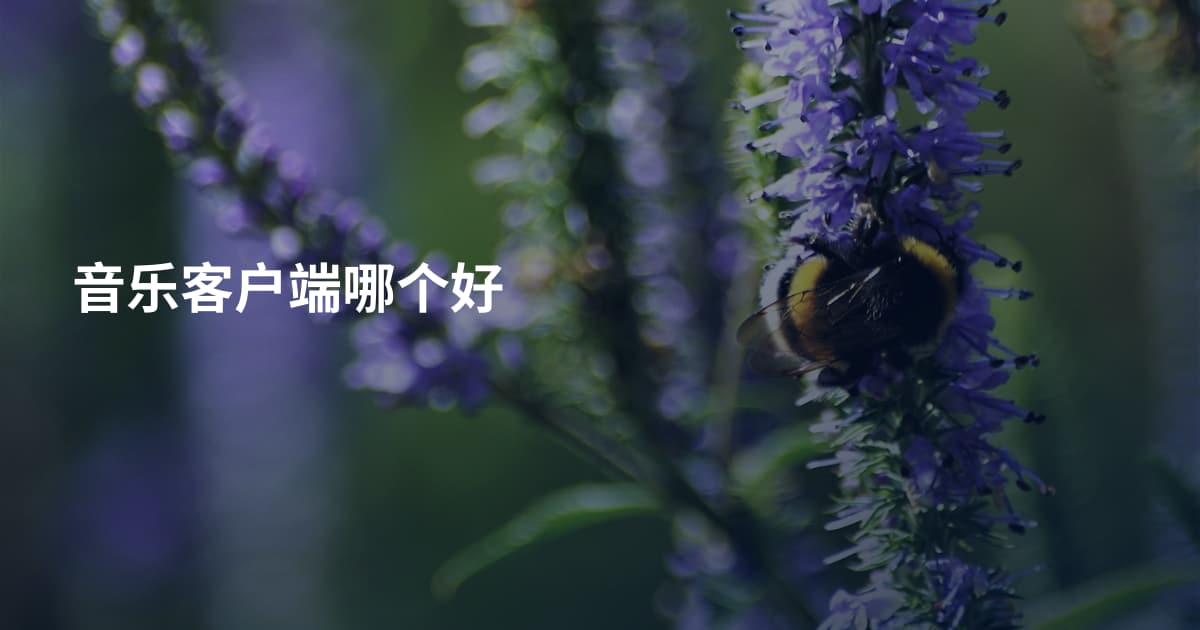 音乐客户端哪个好