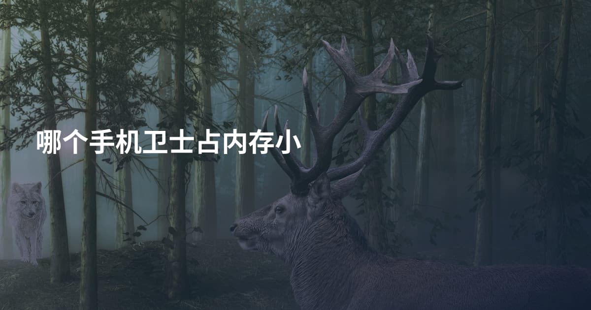 哪个手机卫士占内存小