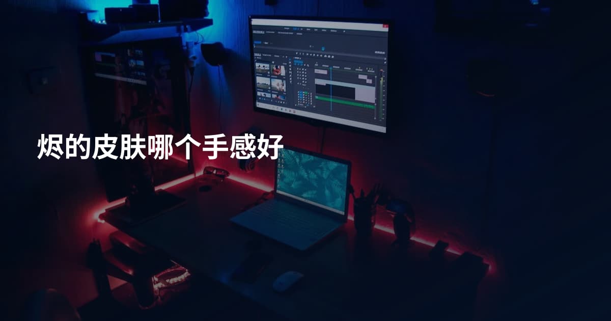烬的皮肤哪个手感好