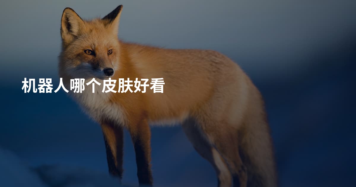 机器人哪个皮肤好看