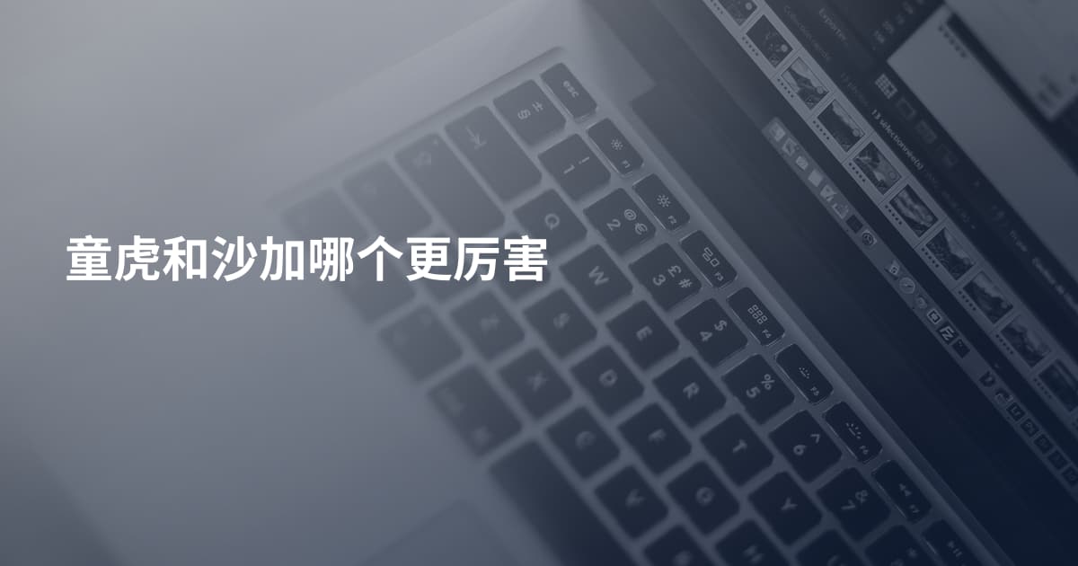 童虎和沙加哪个更厉害
