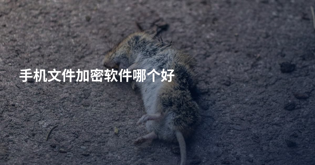 手机文件加密软件哪个好