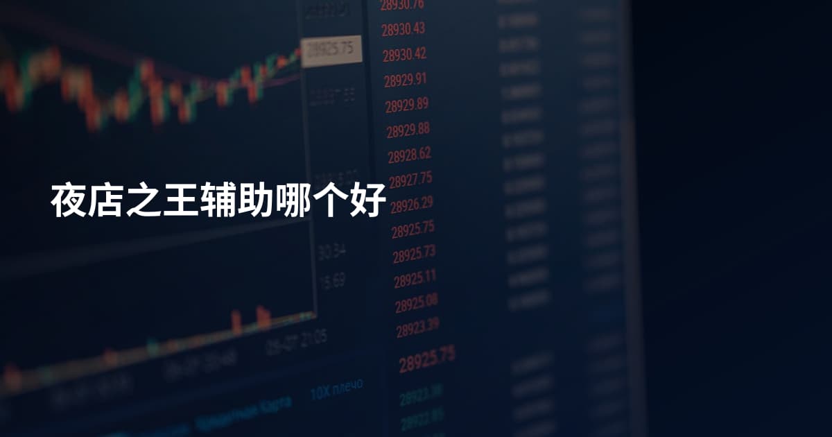 夜店之王辅助哪个好