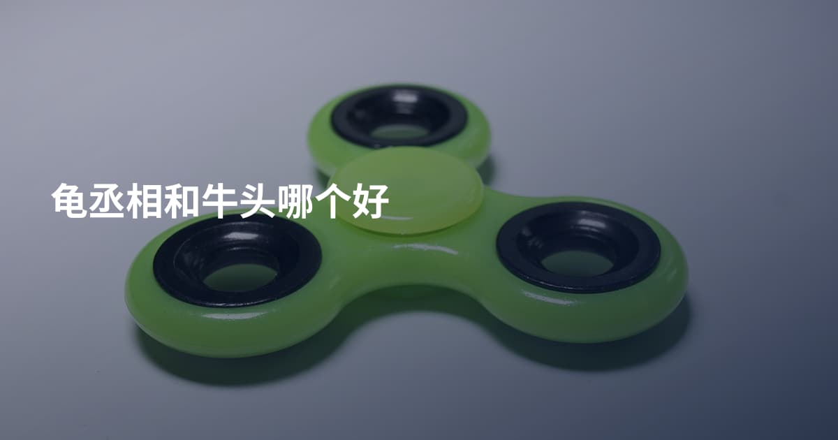 龟丞相和牛头哪个好