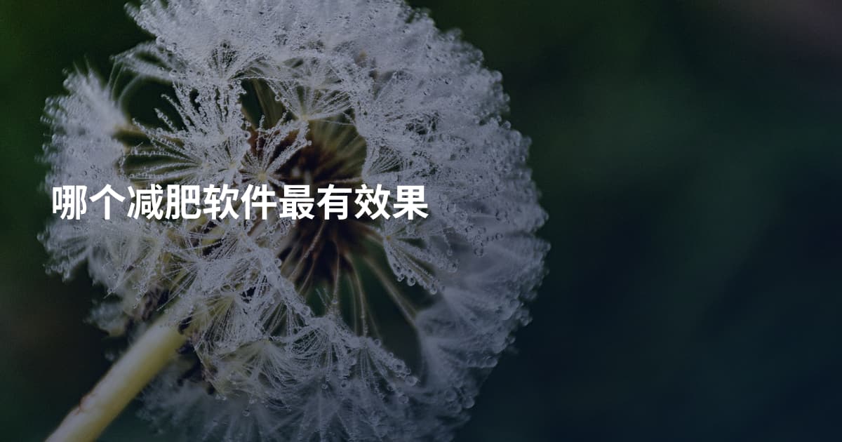 哪个减肥软件最有效果