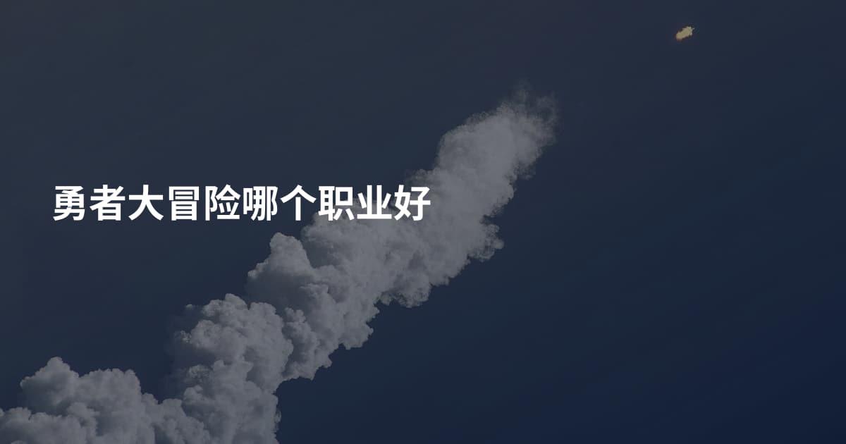 勇者大冒险哪个职业好