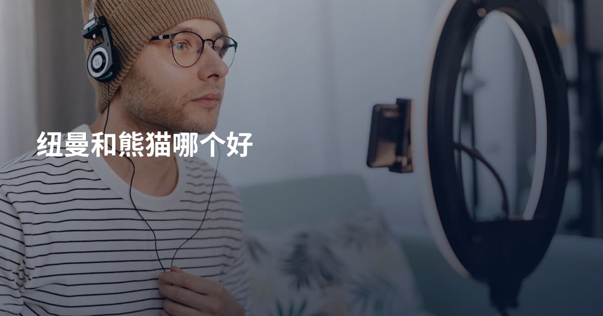 纽曼和熊猫哪个好