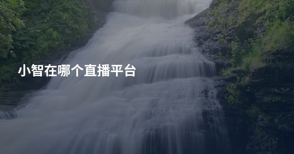 小智在哪个直播平台