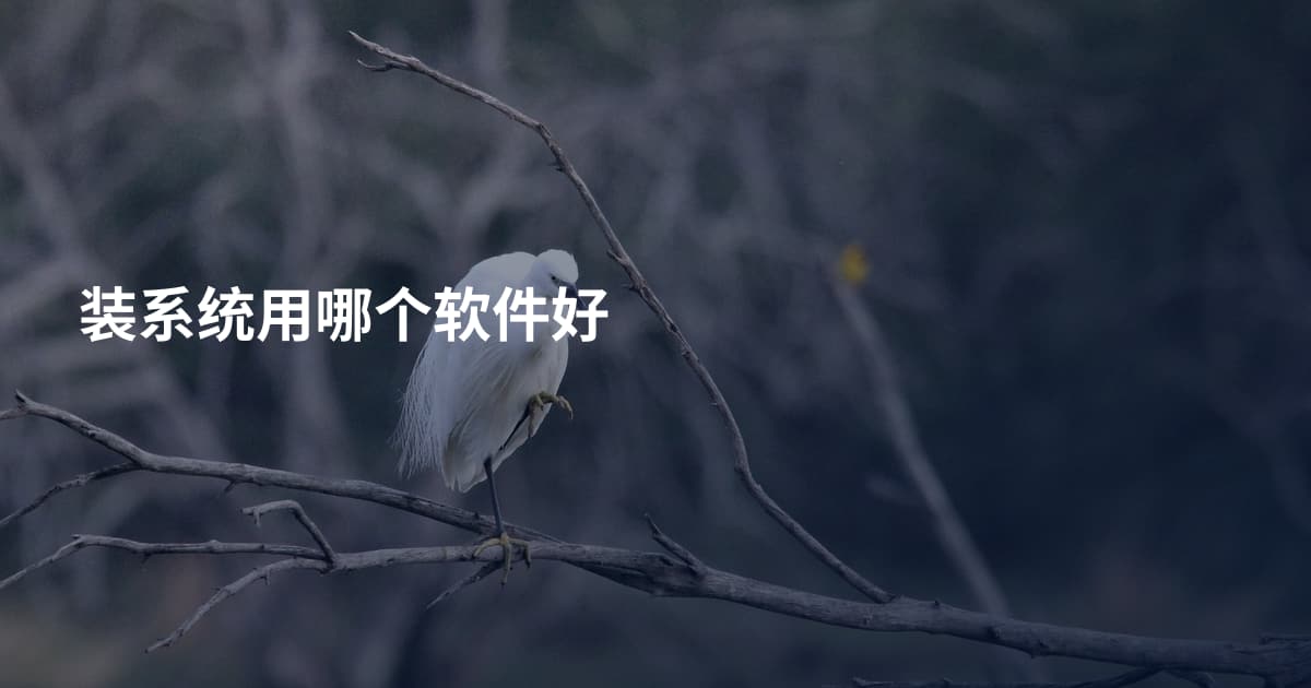 装系统用哪个软件好
