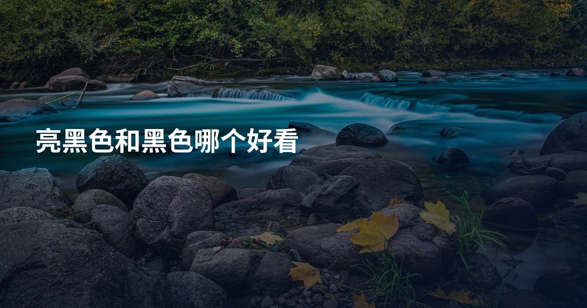 亮黑色和黑色哪个好看