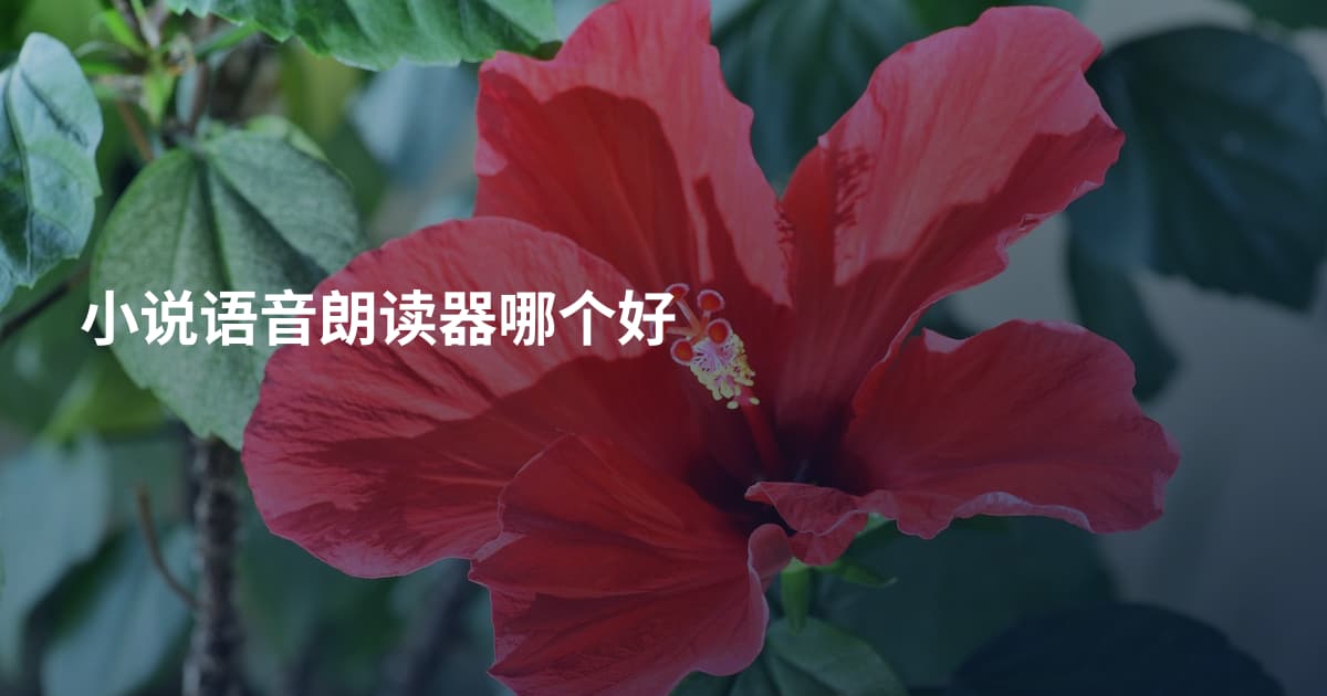 小说语音朗读器哪个好
