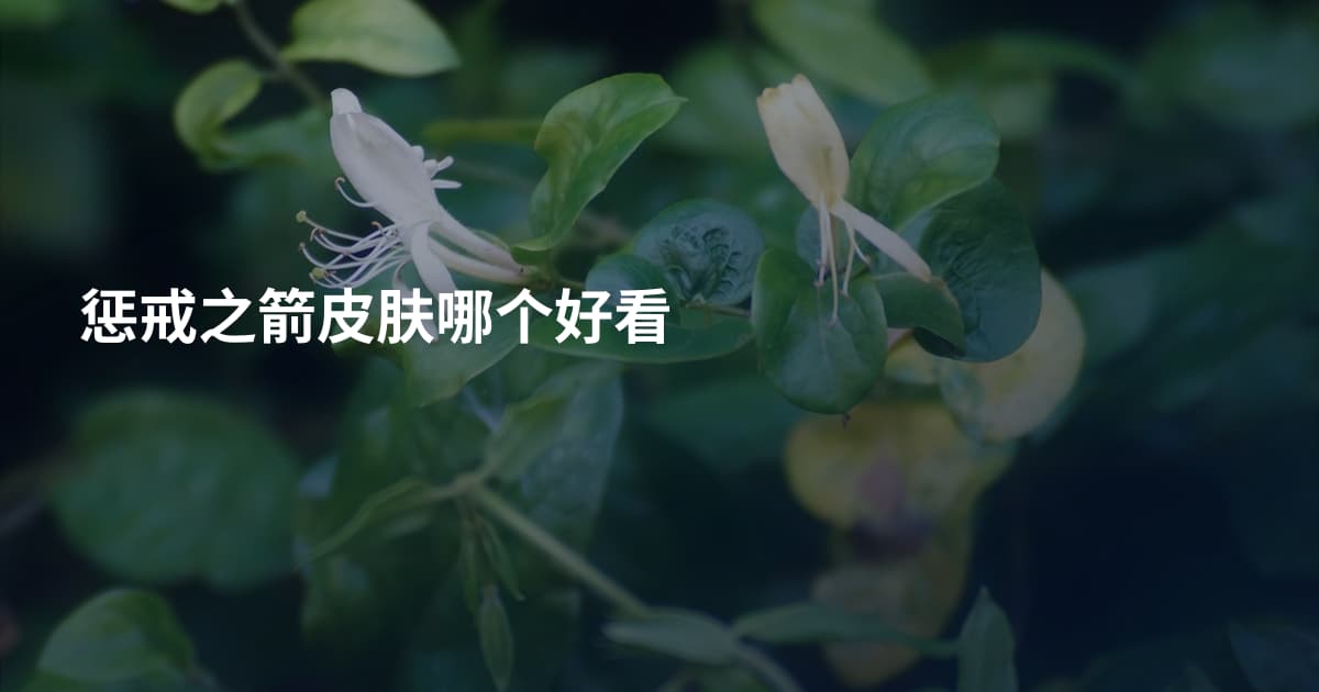 惩戒之箭皮肤哪个好看