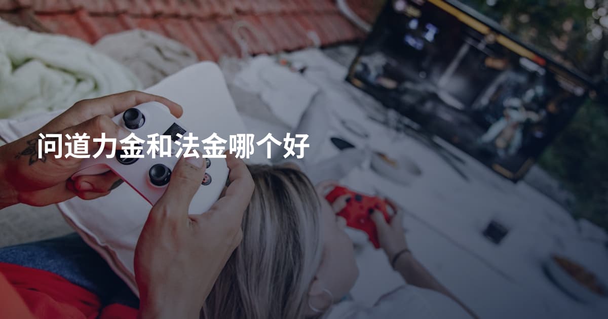 问道力金和法金哪个好