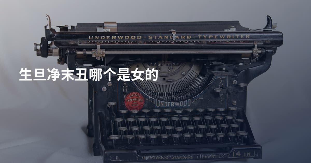 生旦净末丑哪个是女的