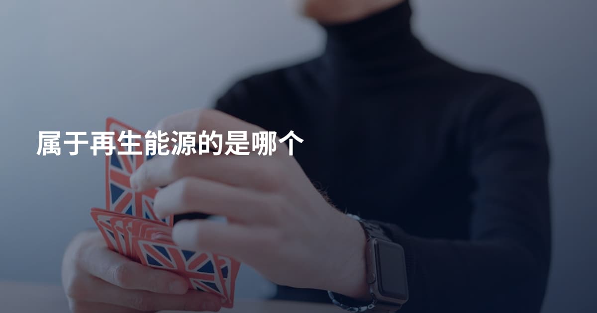 属于再生能源的是哪个