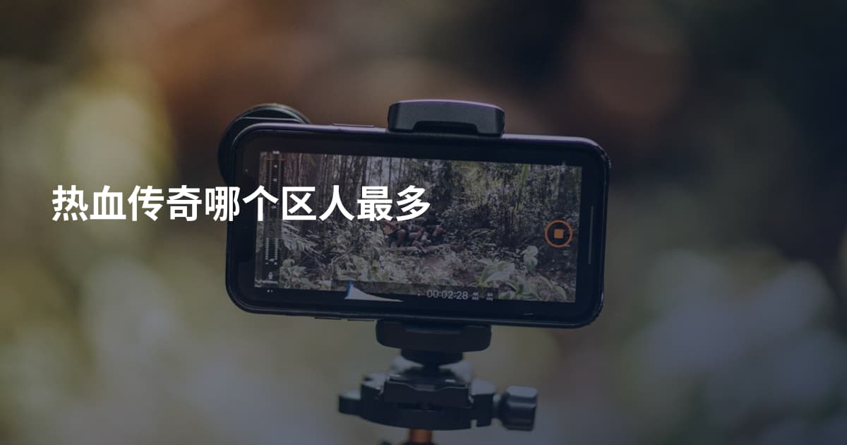 热血传奇哪个区人最多