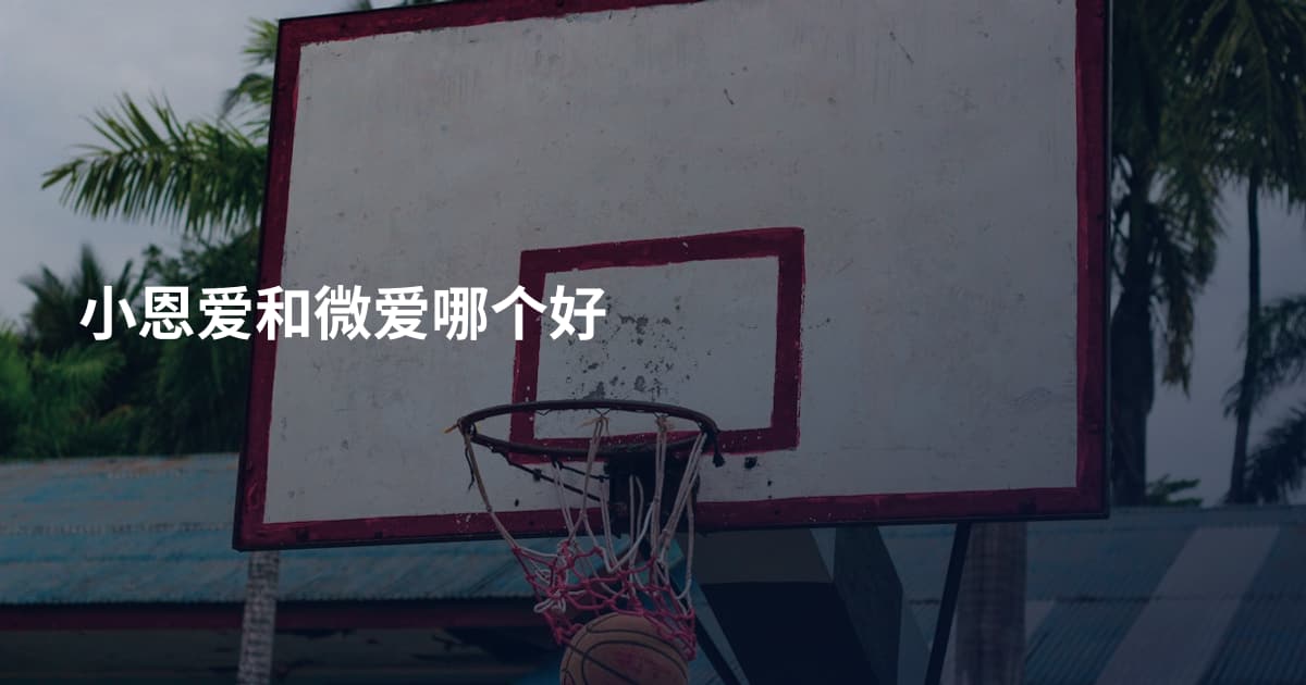 小恩爱和微爱哪个好