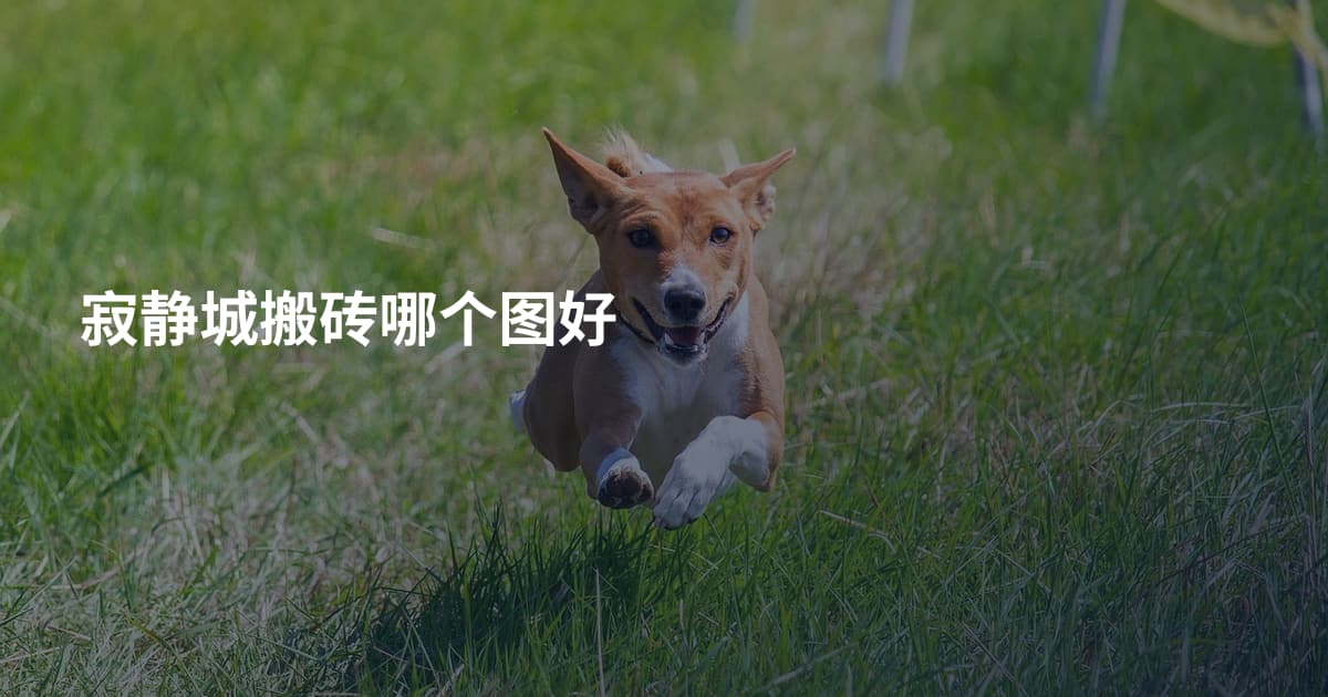 寂静城搬砖哪个图好