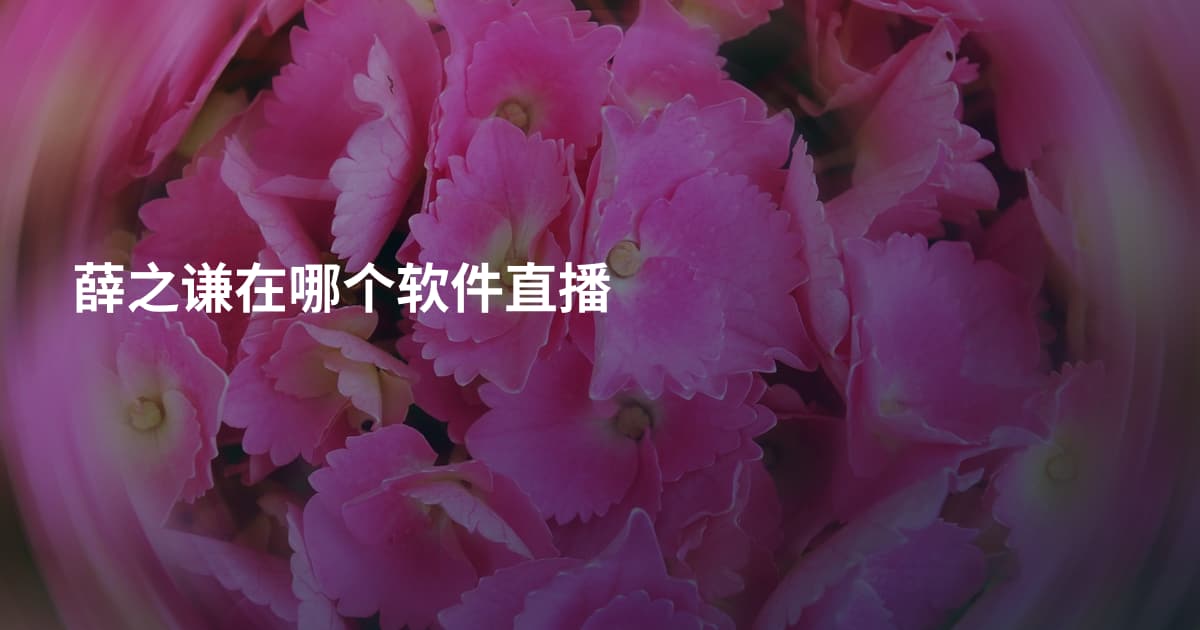 薛之谦在哪个软件直播