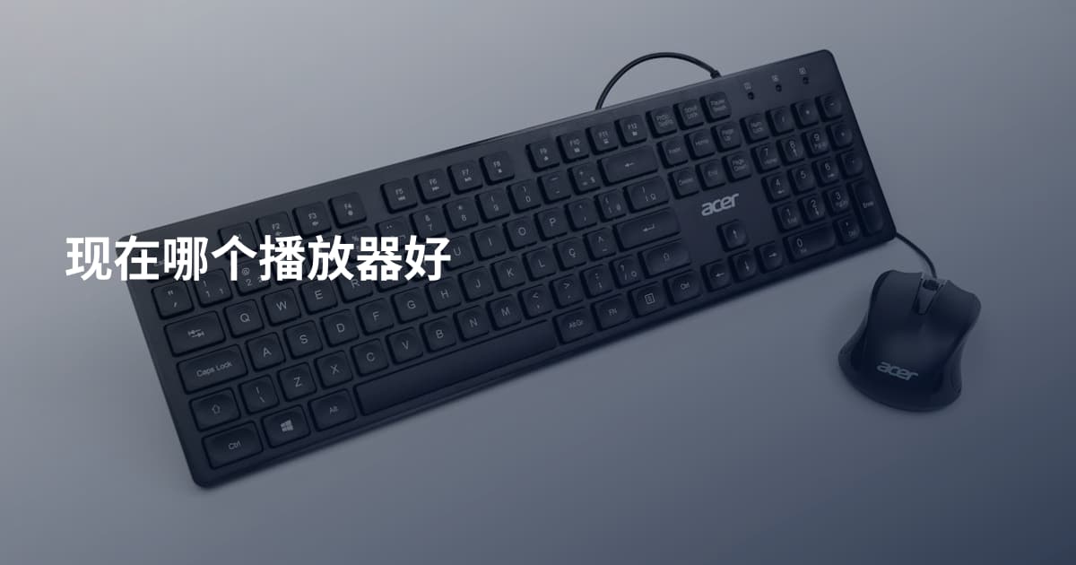 现在哪个播放器好