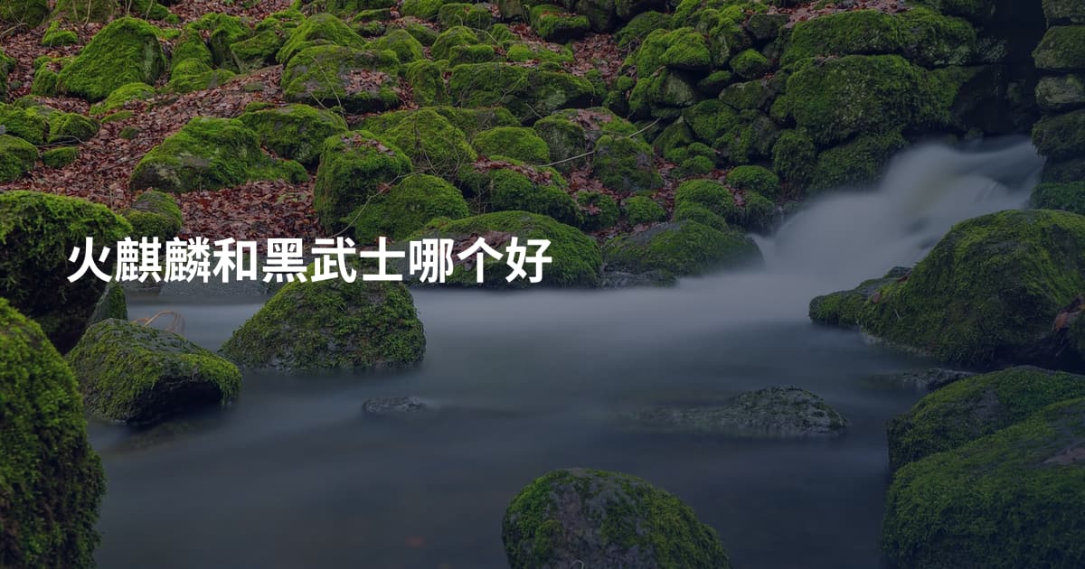火麒麟和黑武士哪个好