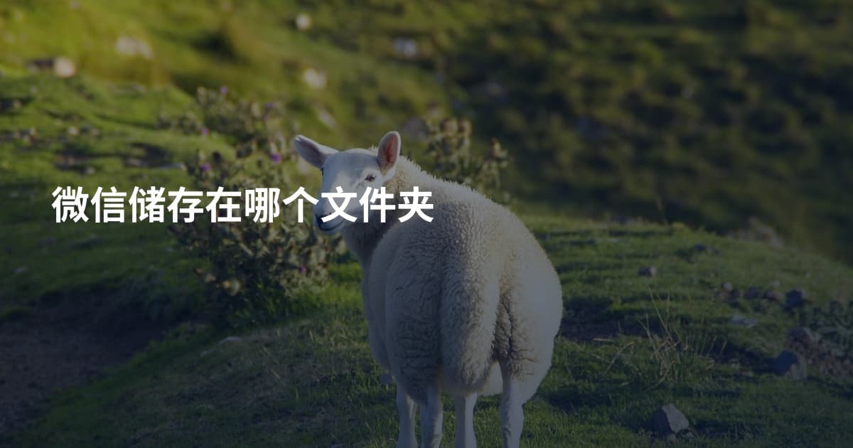 微信储存在哪个文件夹