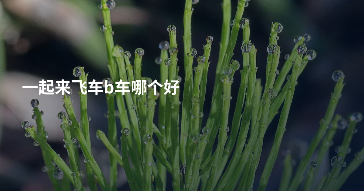 一起来飞车b车哪个好