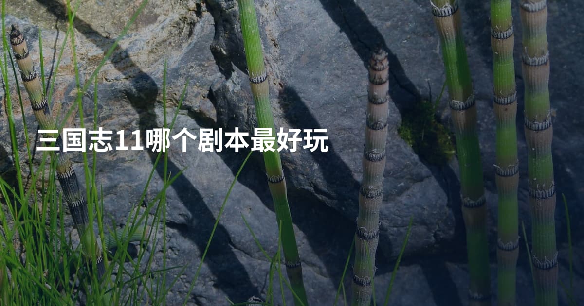 三国志11哪个剧本最好玩