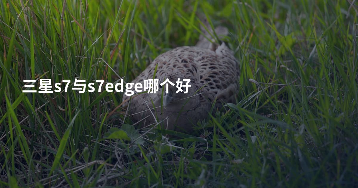 三星s7与s7edge哪个好