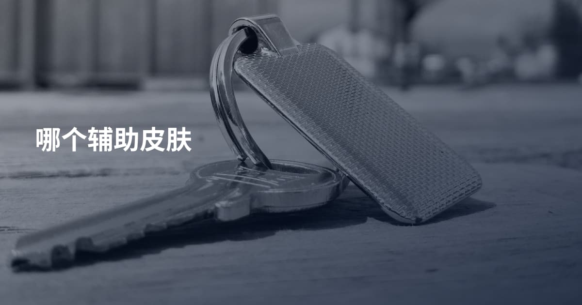 哪个辅助皮肤