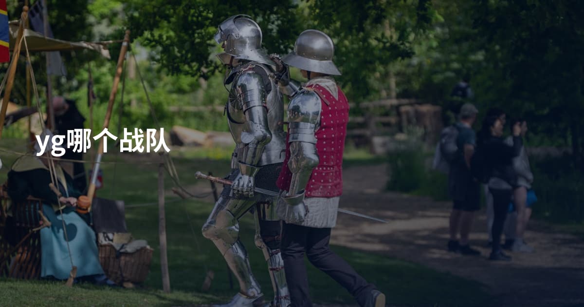 yg哪个战队