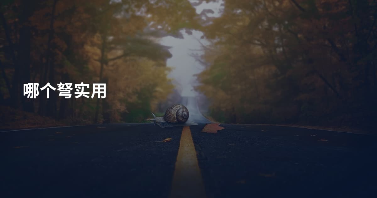 哪个弩实用