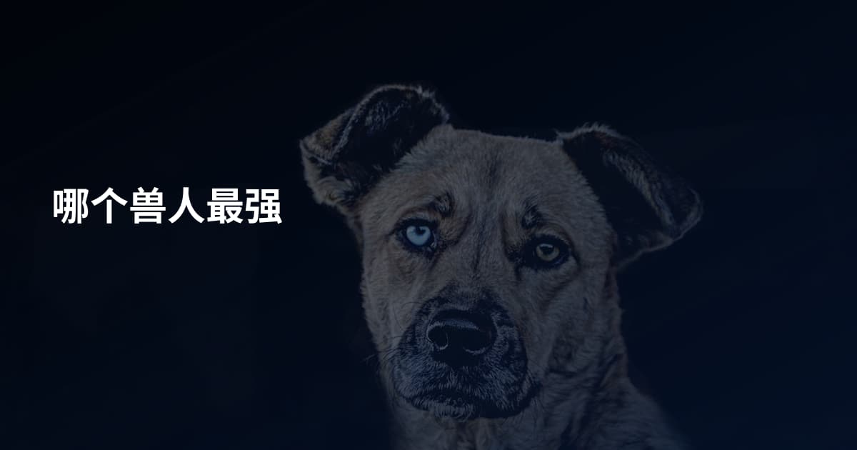 哪个兽人最强